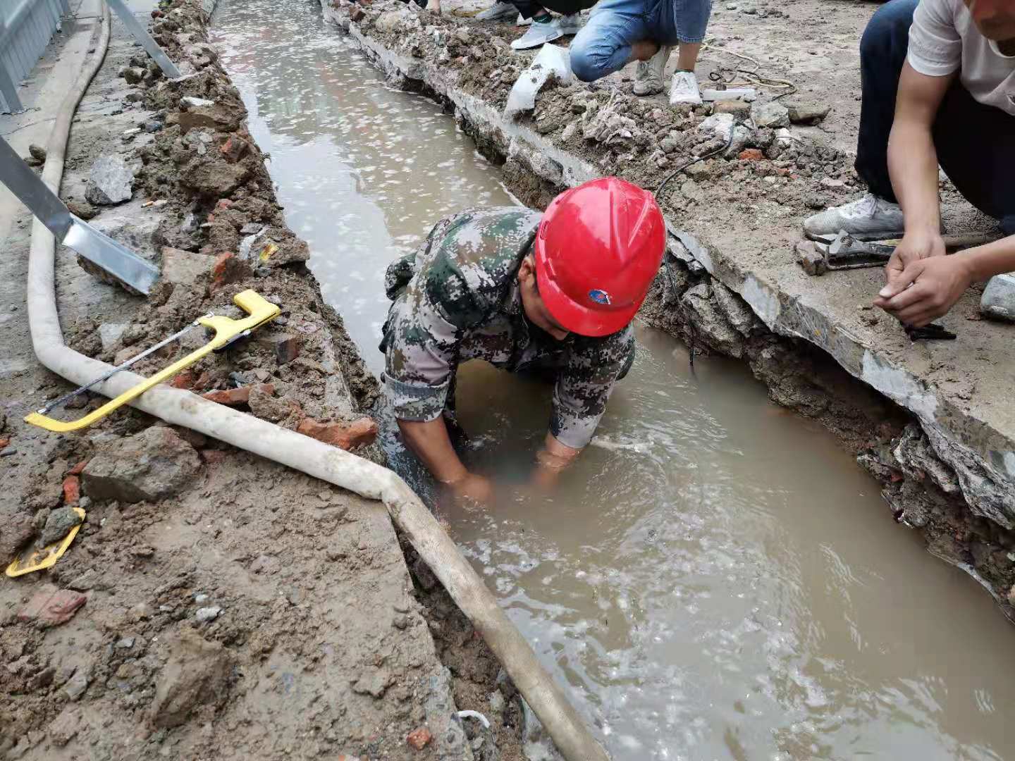 1623726344a933027.jpg 1623726344a933027.jpg