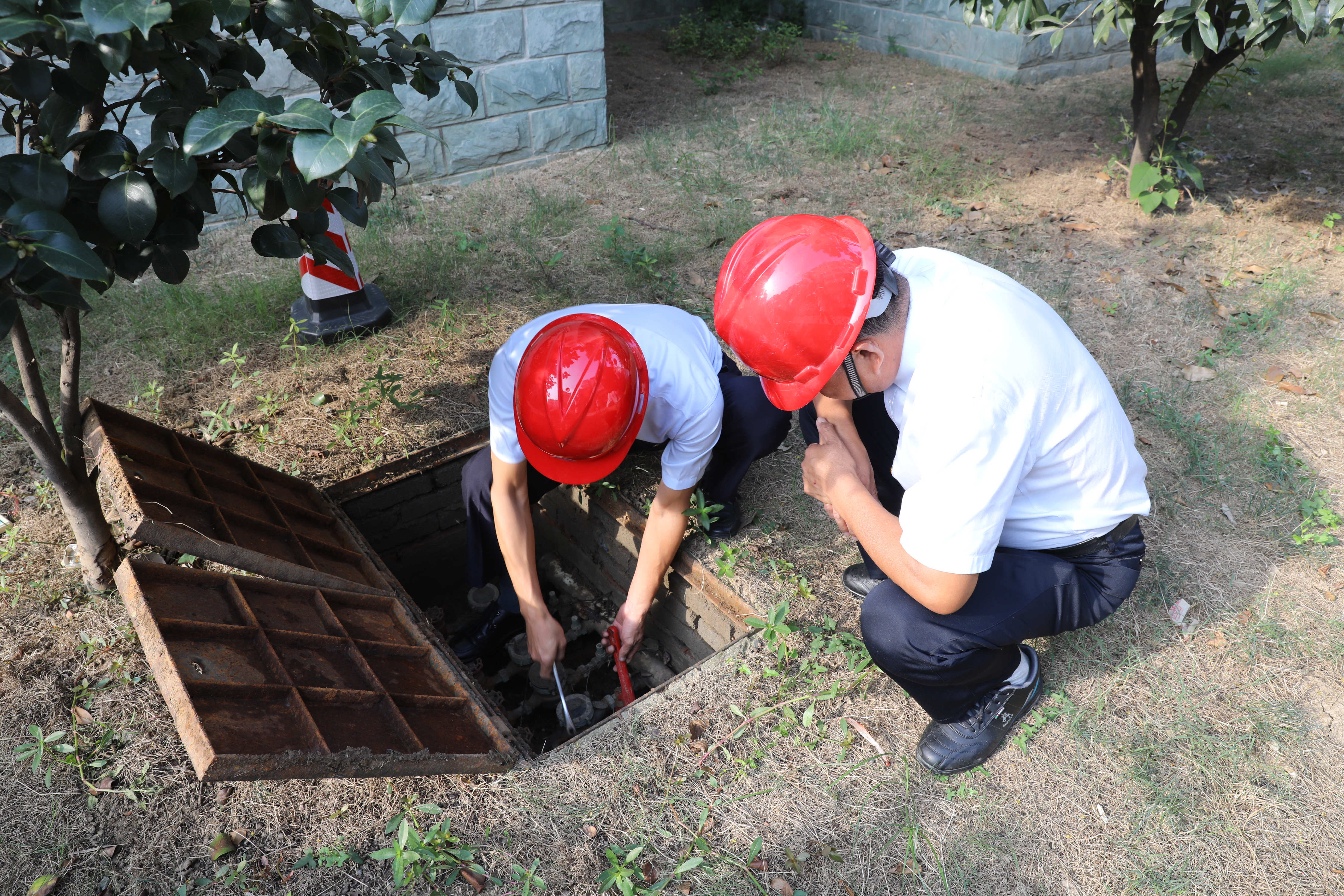 1631956813a841484.jpg 1631956813a841484.jpg