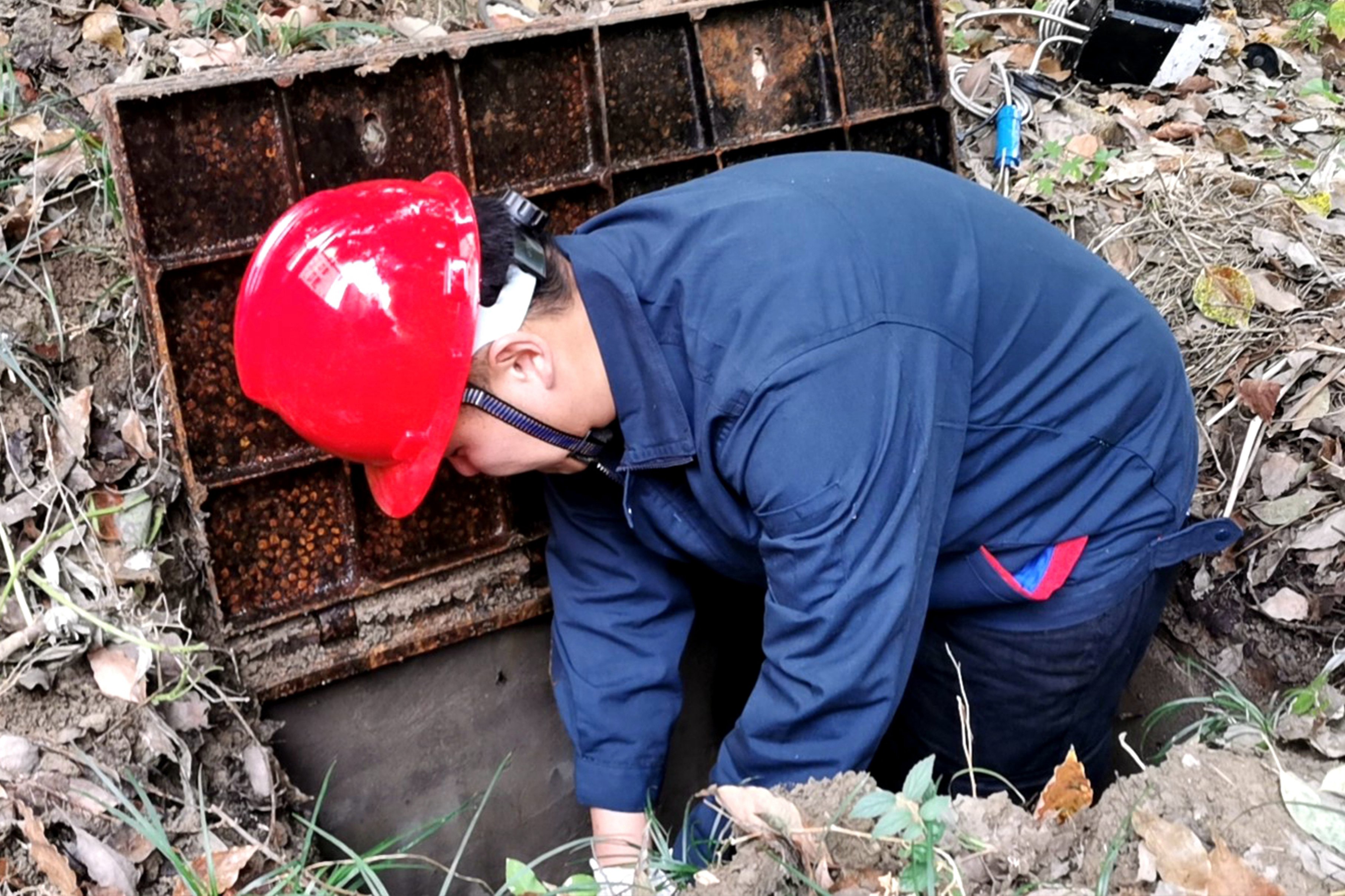 1633053578a133161.jpg 1633053578a133161.jpg