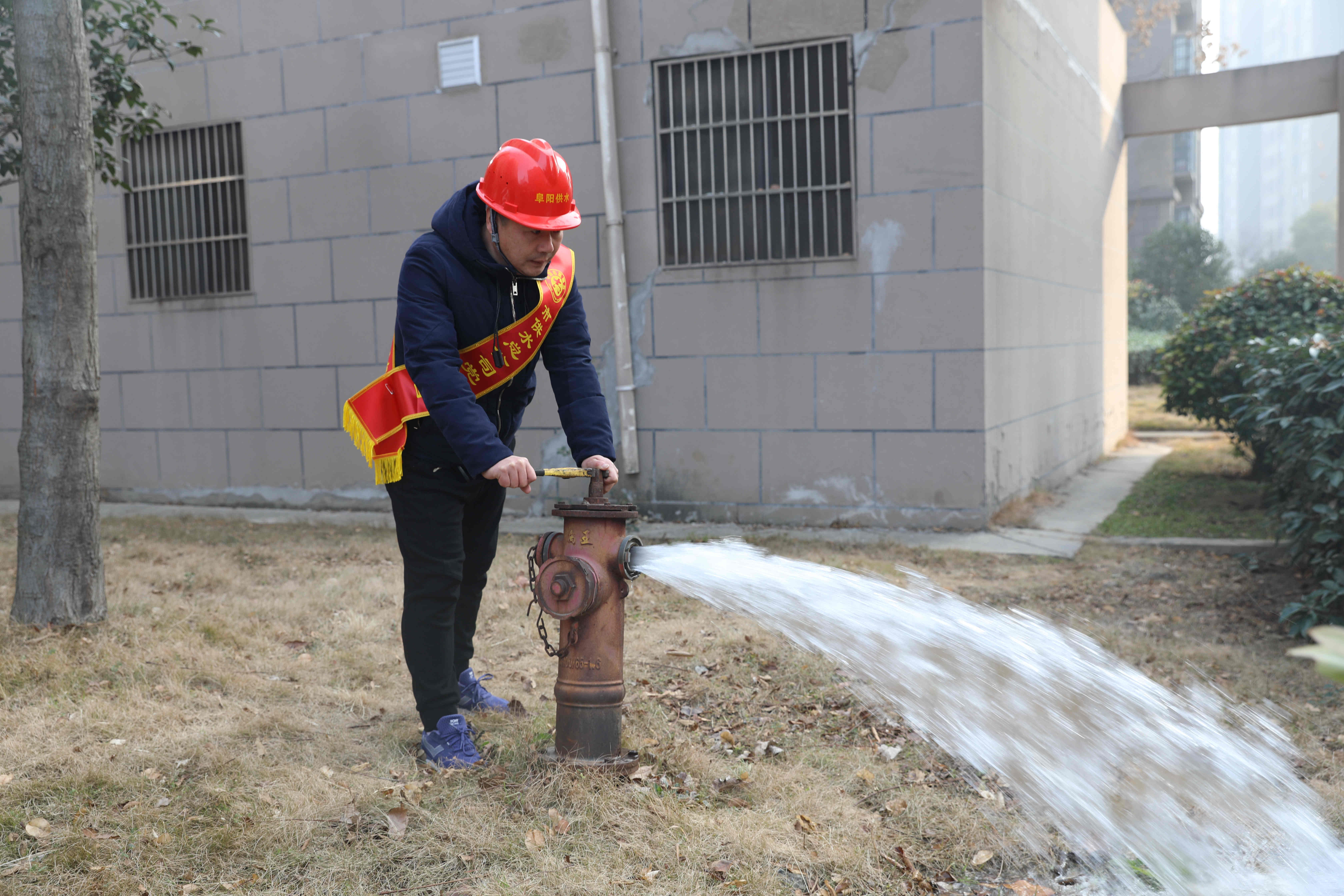 1642468064a307037.jpg 1642468064a307037.jpg