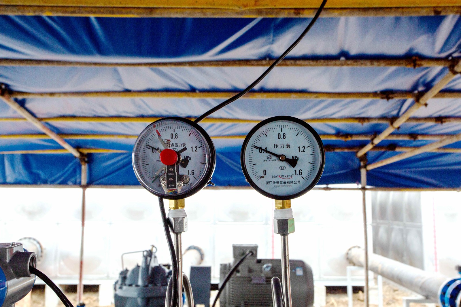 1652235898a287557.jpg 1652235898a287557.jpg