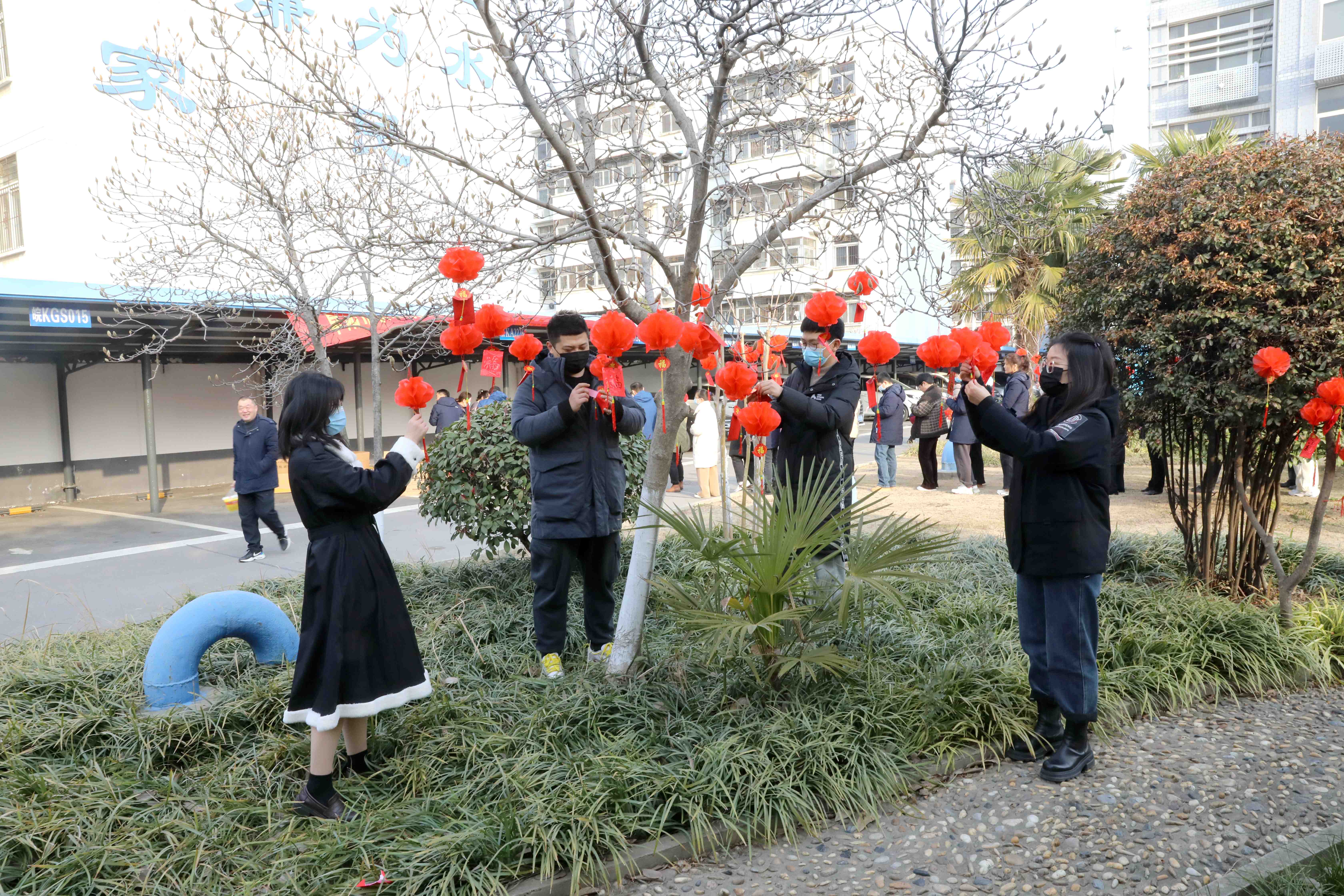 1675410215a170549.jpg 1675410215a170549.jpg