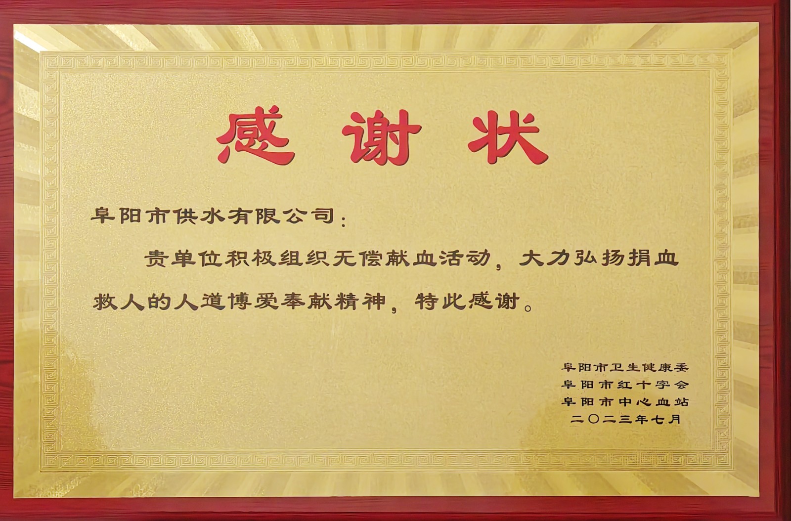 1690875400a763020.jpg 1690875400a763020.jpg