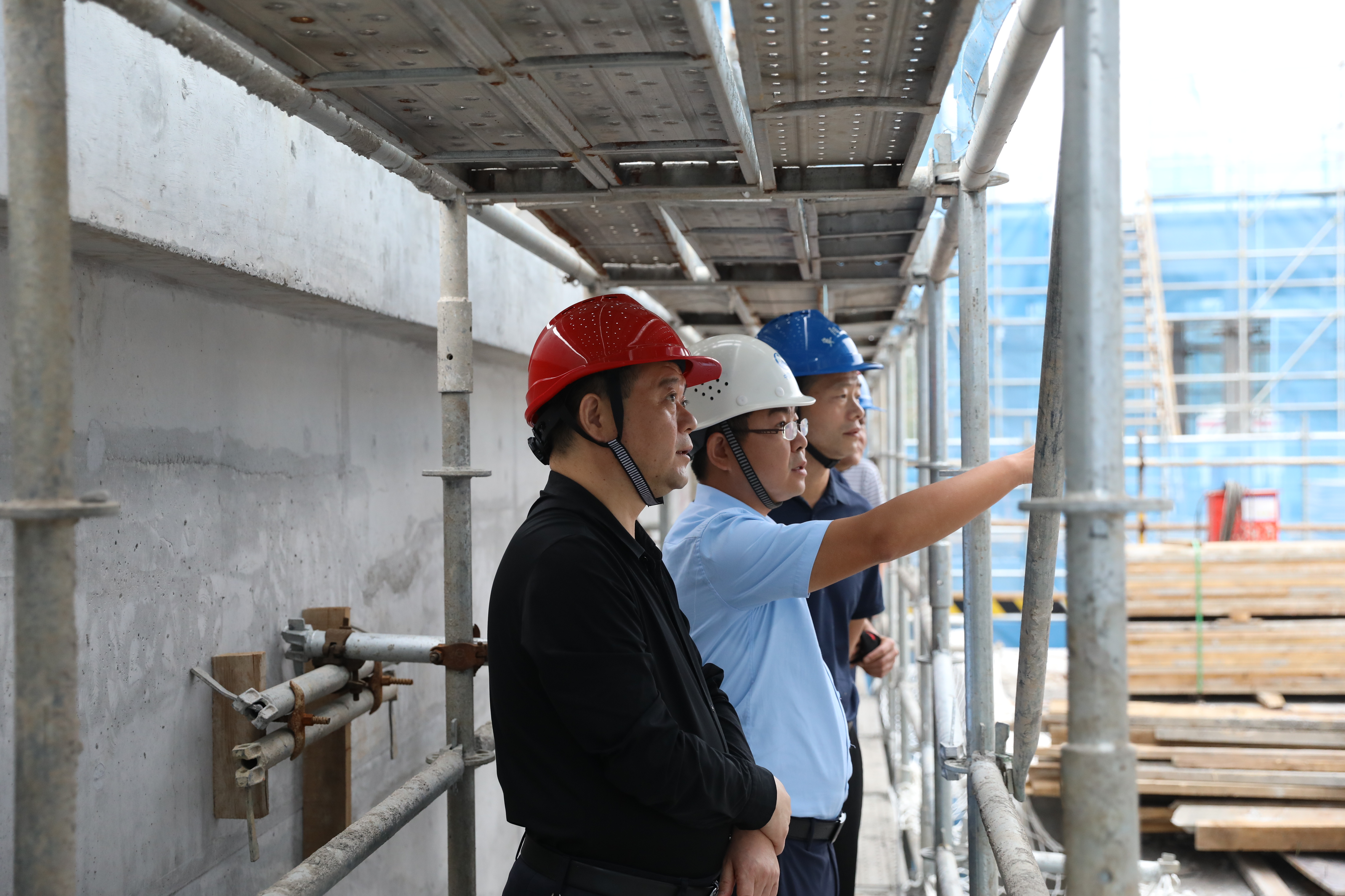 1695909874a712414.jpg 1695909874a712414.jpg