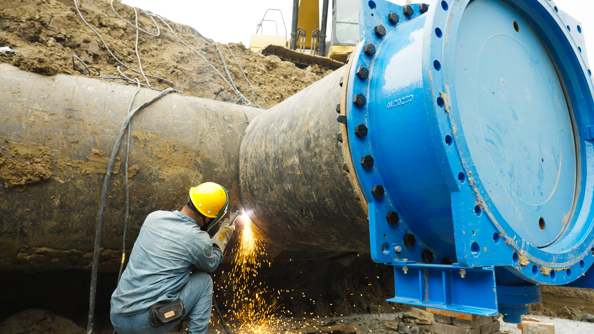 1697509941a107863.png 1697509941a107863.png