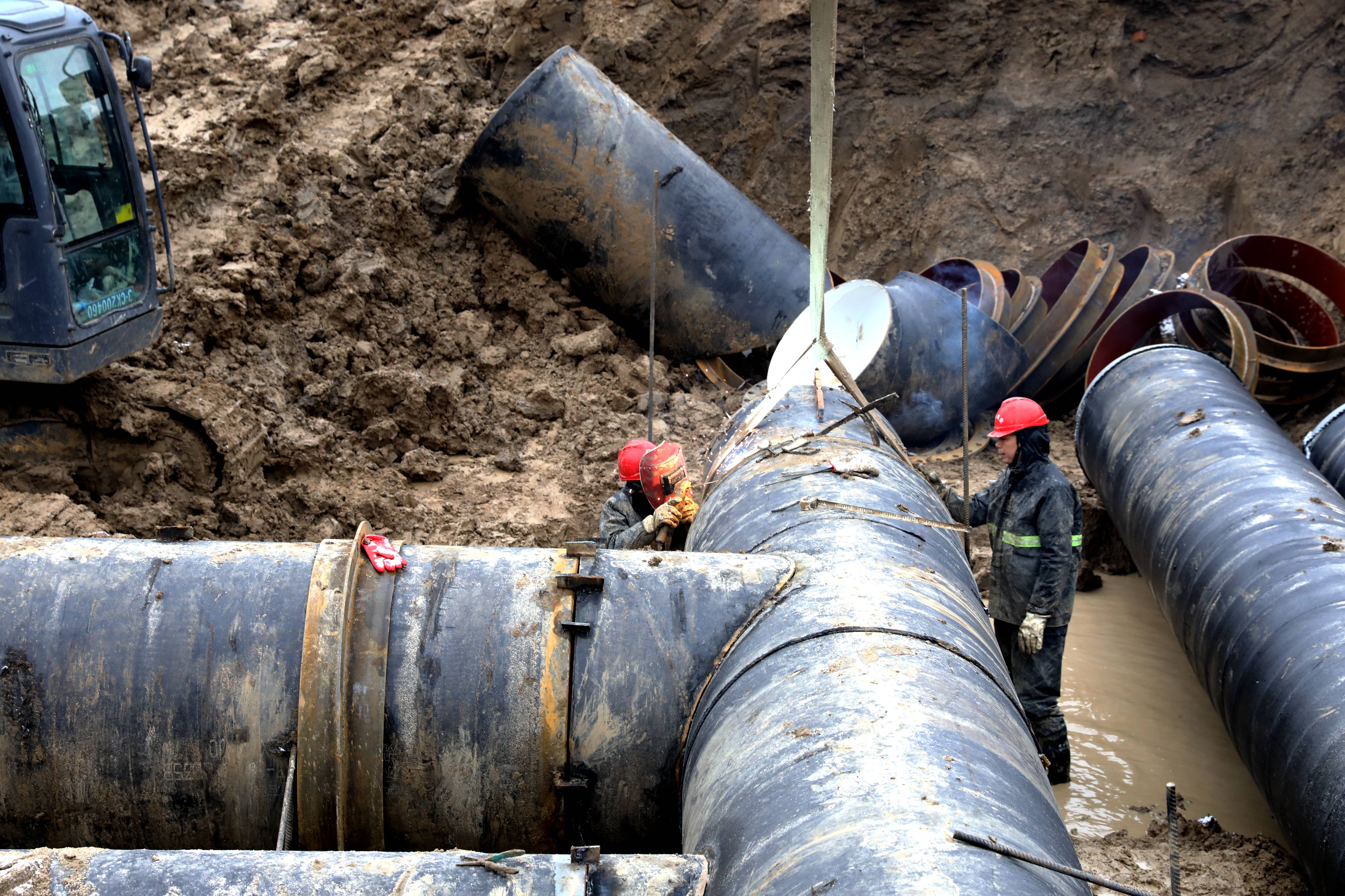 1702868122a887811.jpg 1702868122a887811.jpg