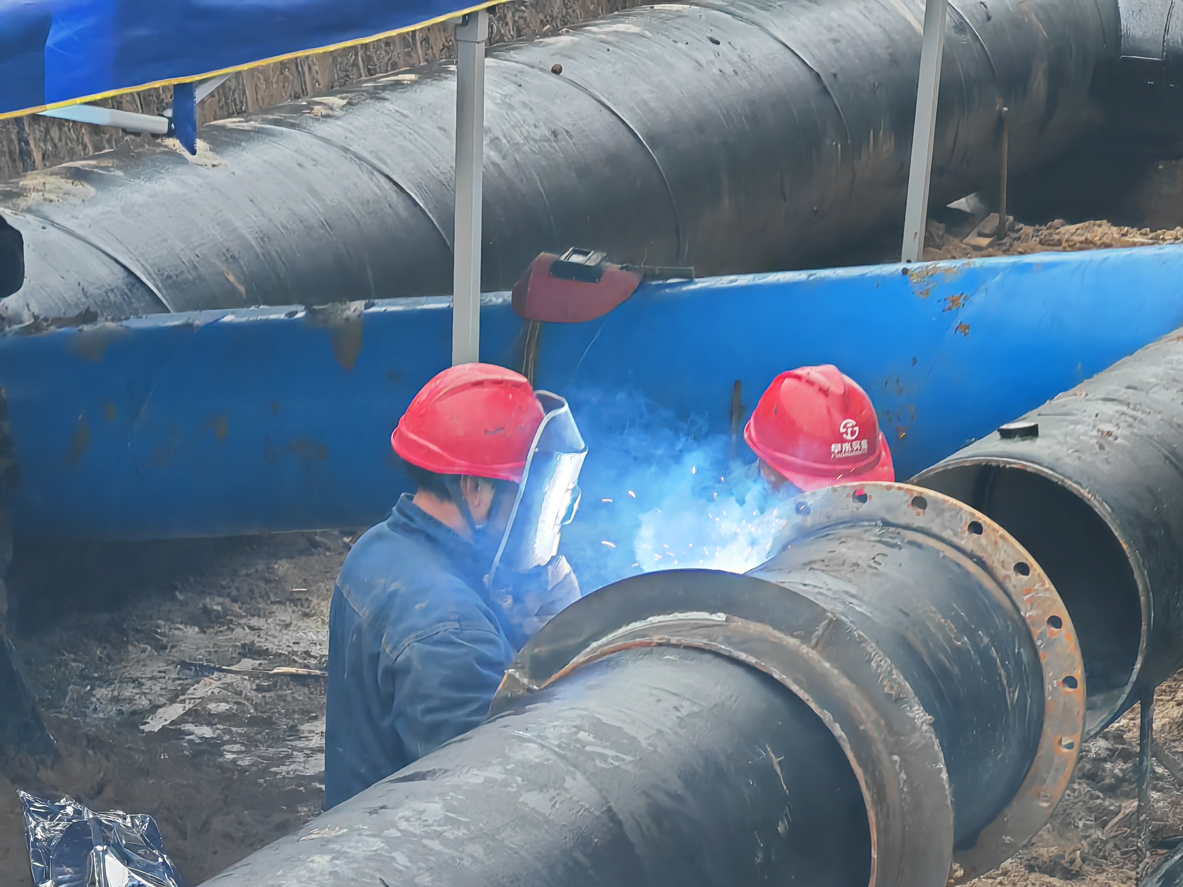 1702868253a775988.jpg 1702868253a775988.jpg