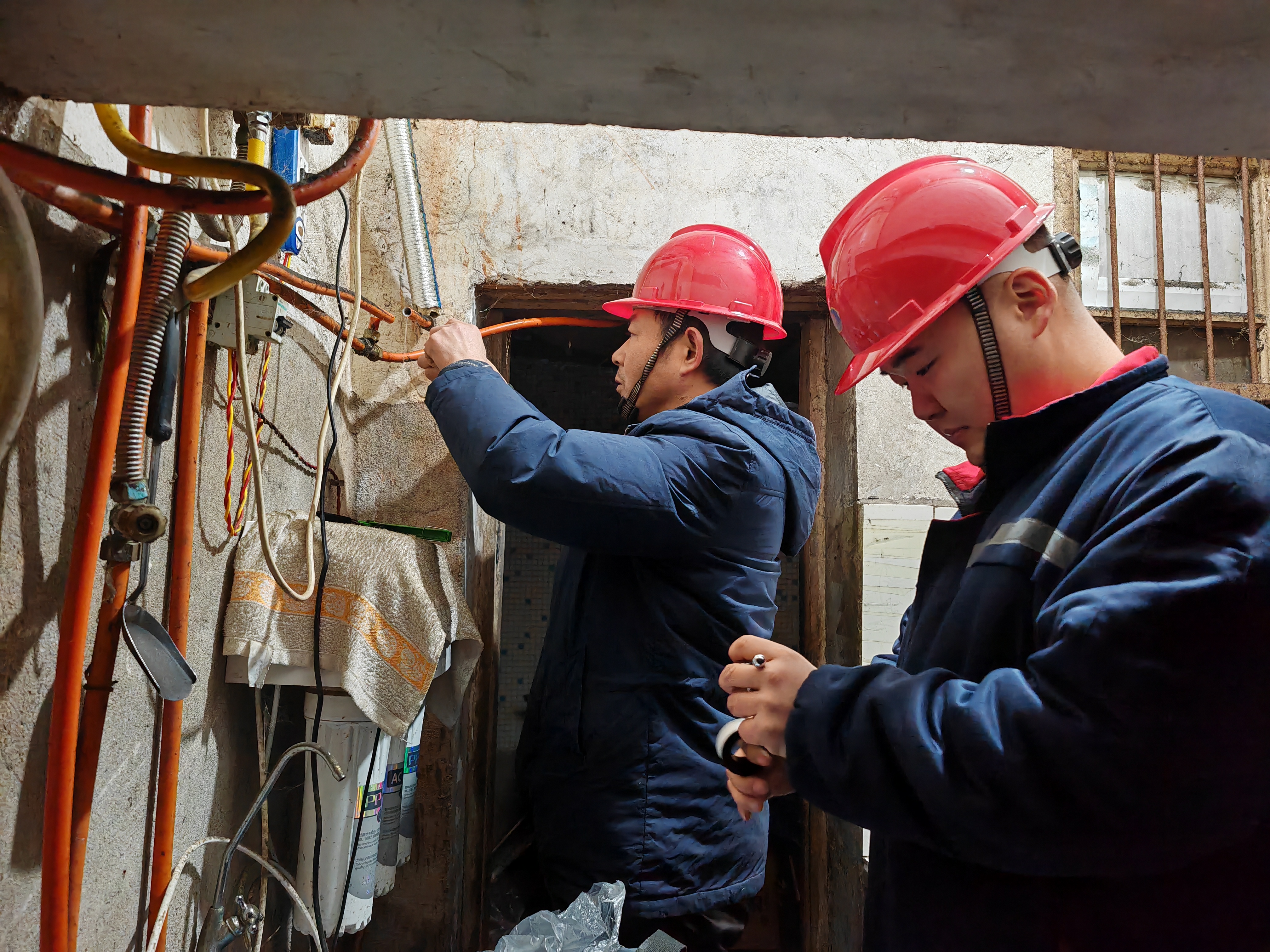 1703120735a328269.jpg 1703120735a328269.jpg