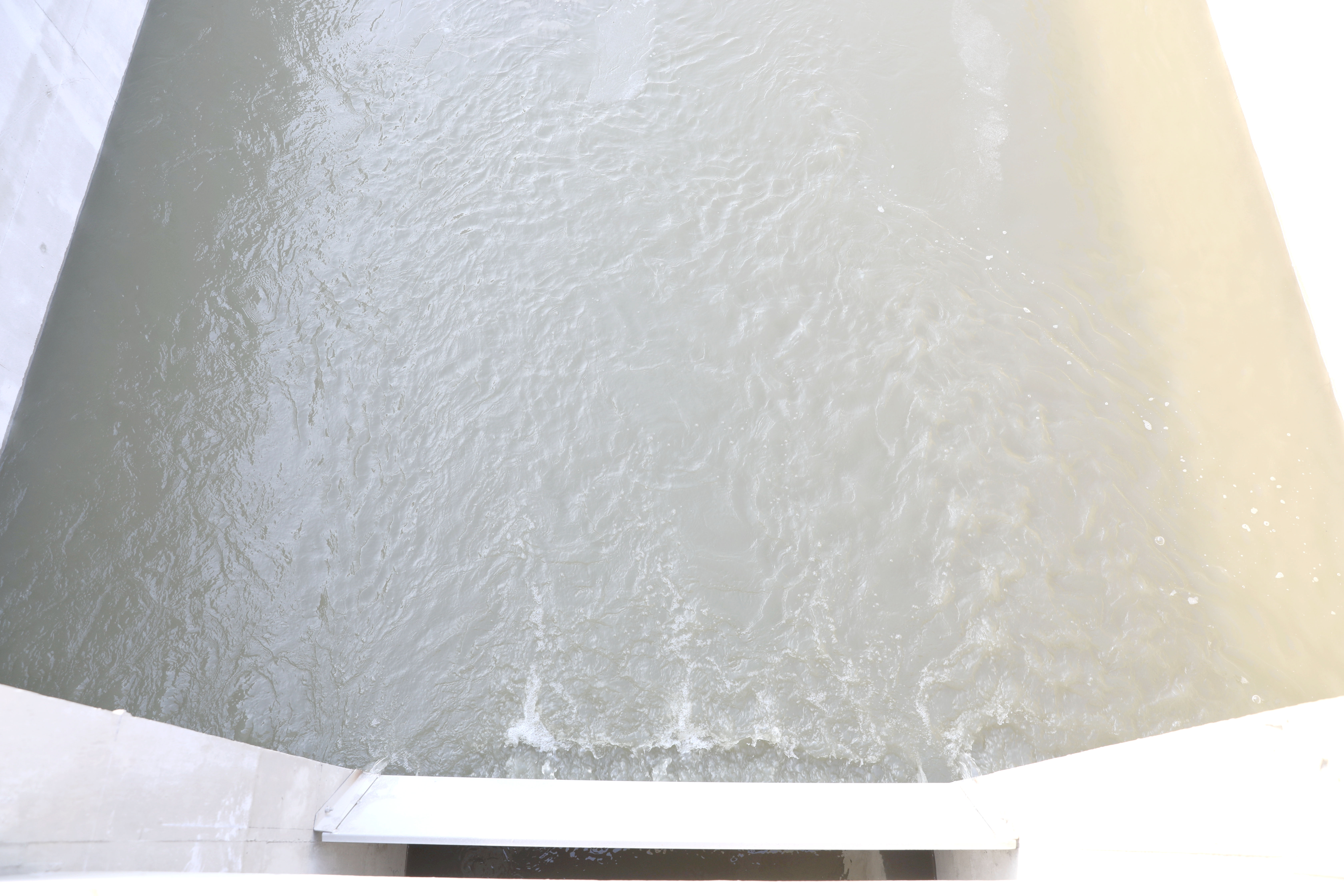 1703550892a157732.jpg 1703550892a157732.jpg