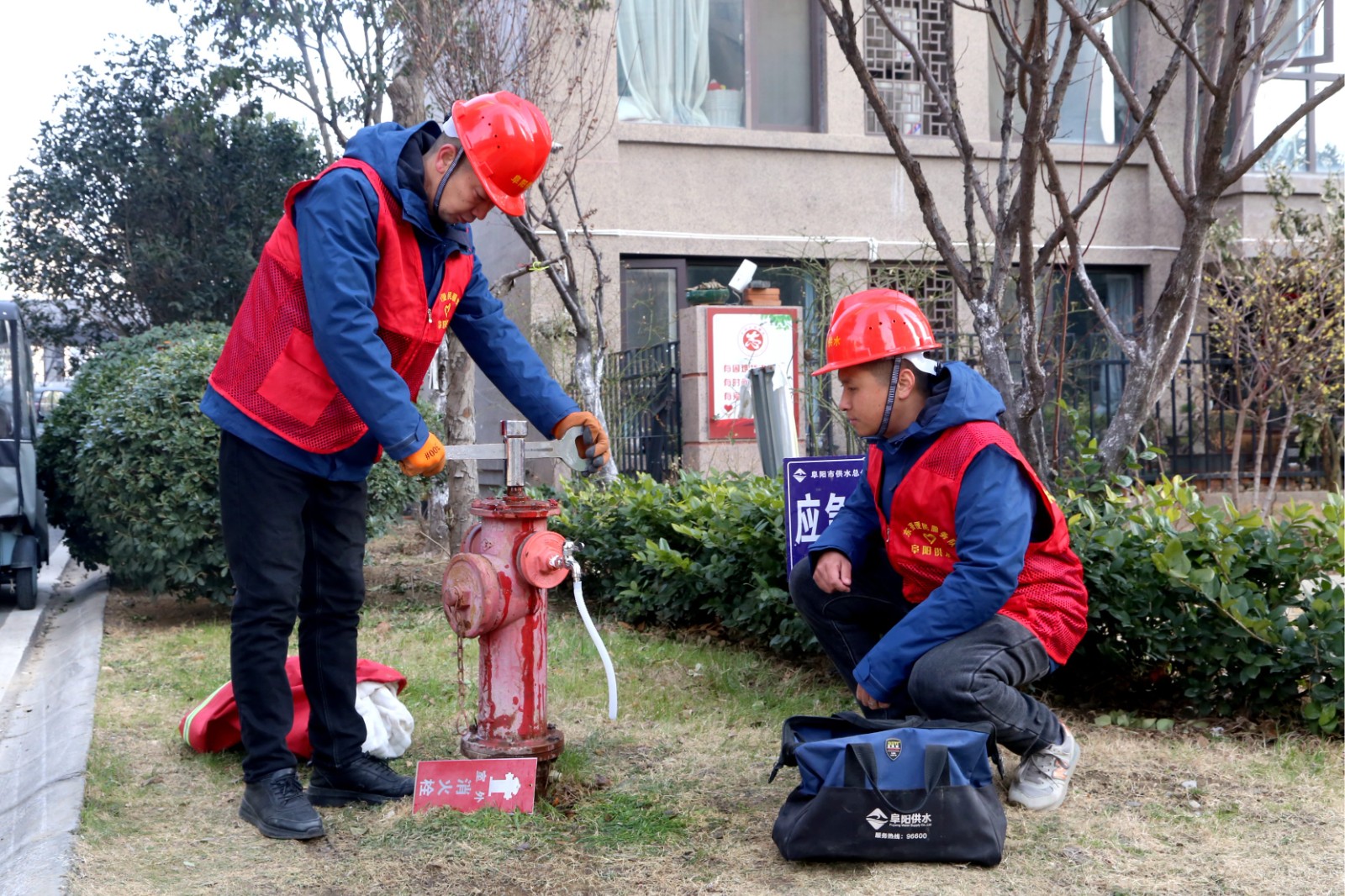 1706489129a201100.jpg 1706489129a201100.jpg