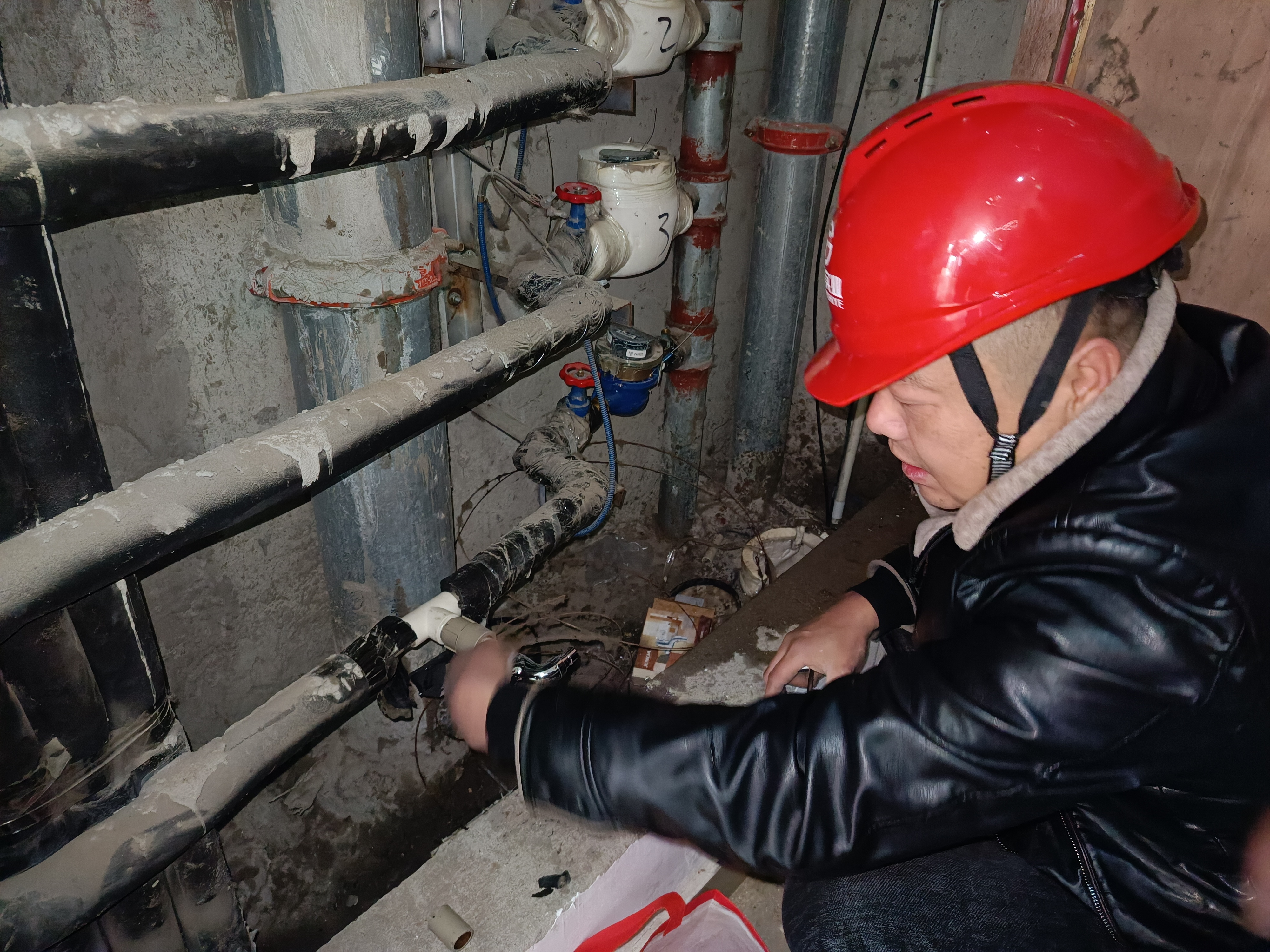 1707381282a618542.jpg 1707381282a618542.jpg