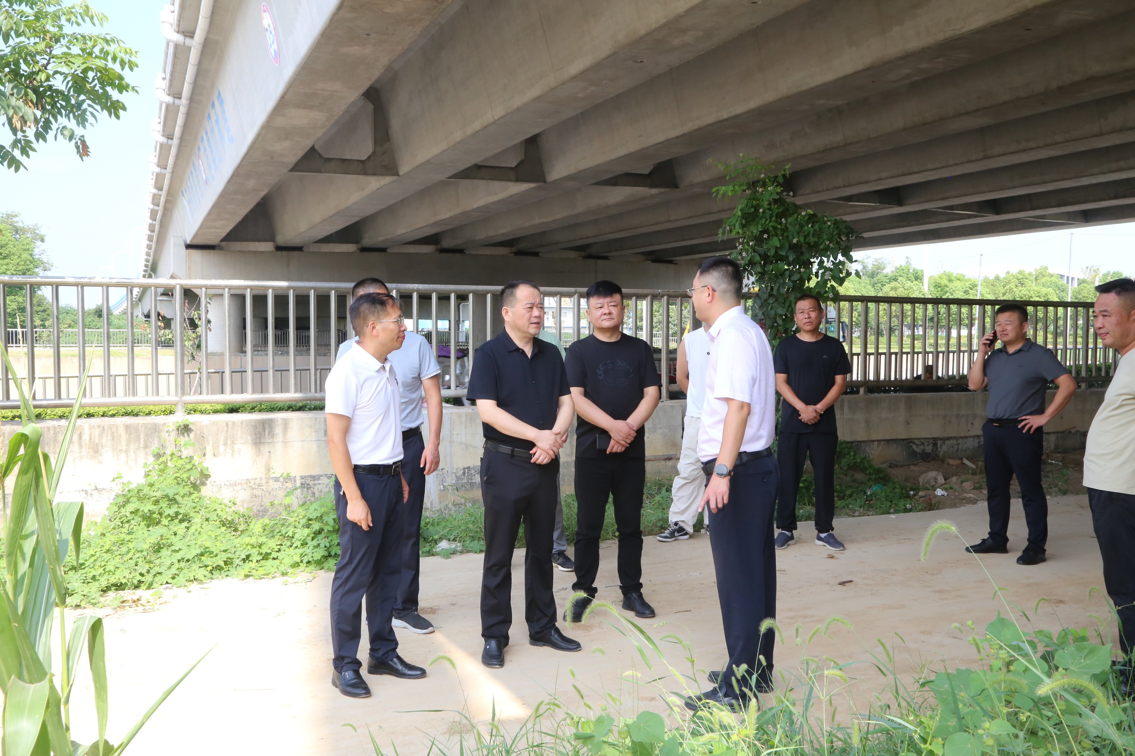 1724664378a198359.jpg 1724664378a198359.jpg