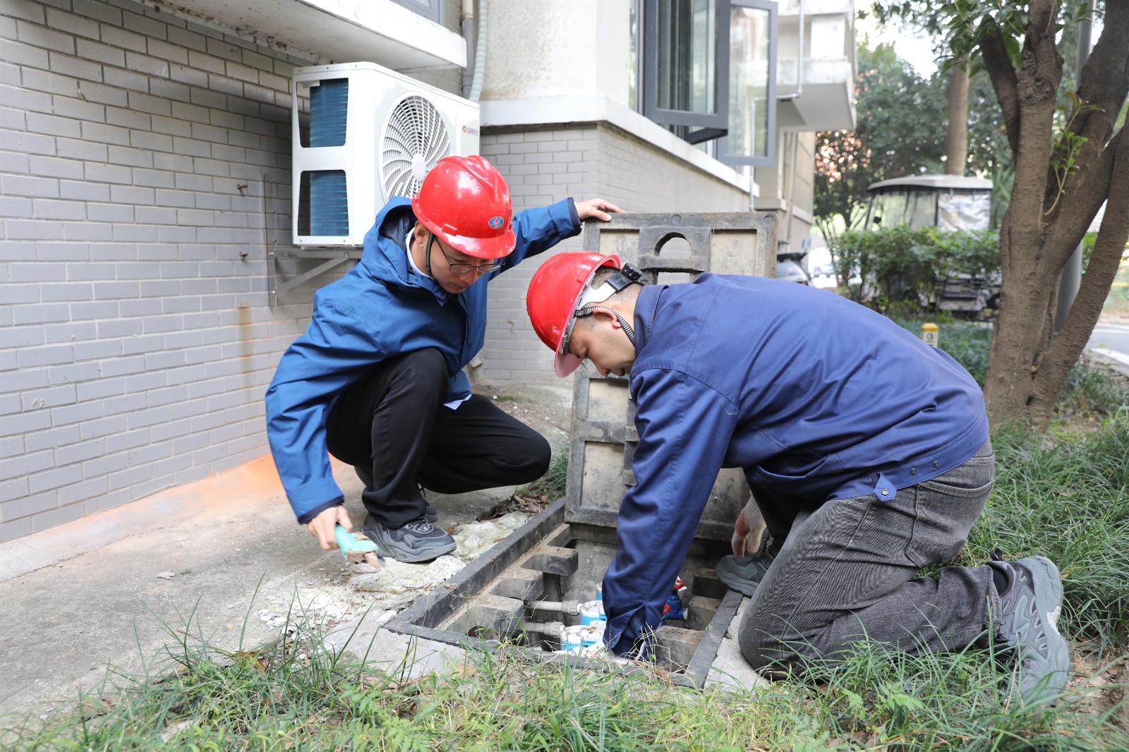 1730453591a940179.jpg 1730453591a940179.jpg