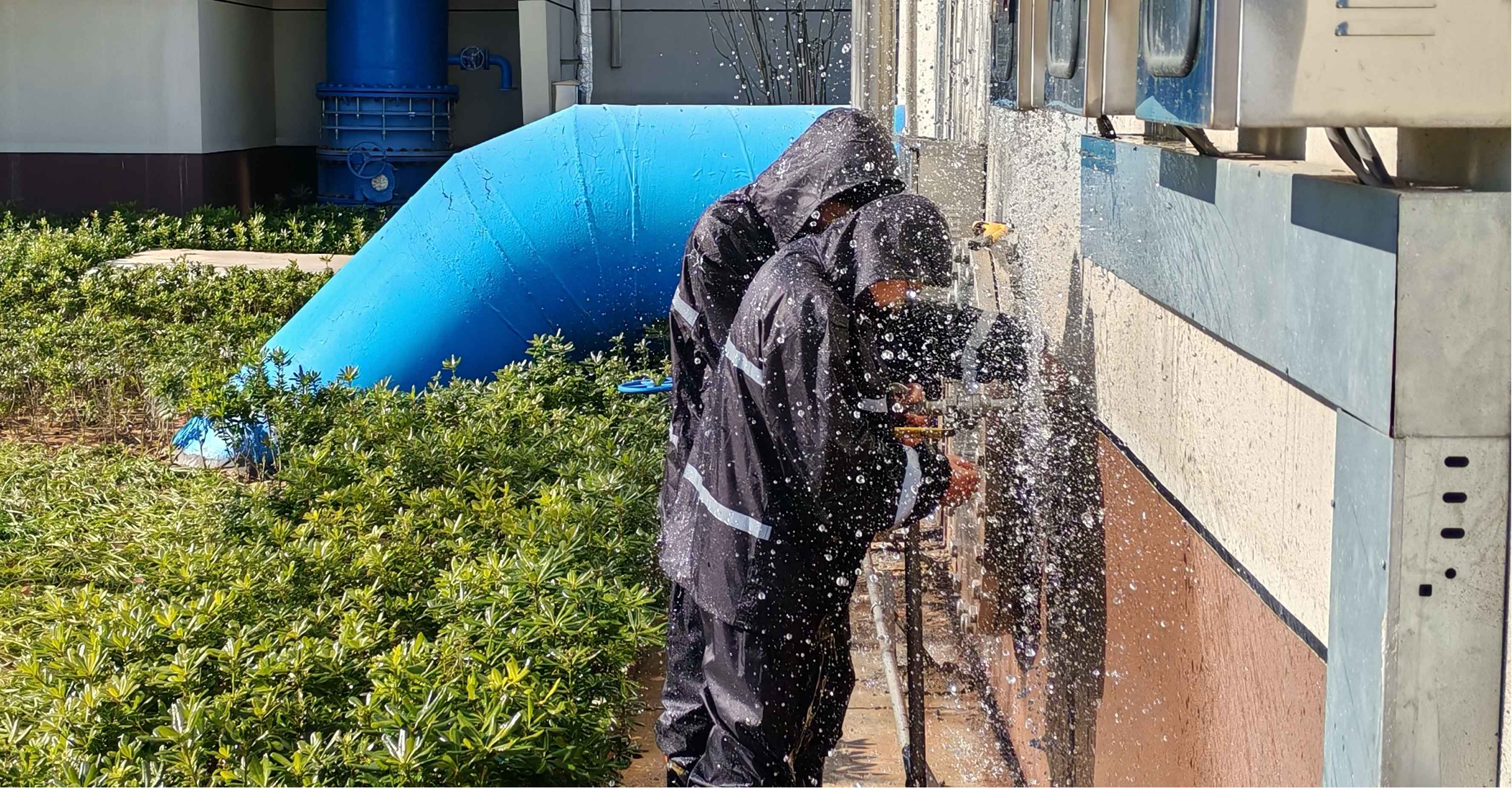 1735610767a857078.jpg 1735610767a857078.jpg