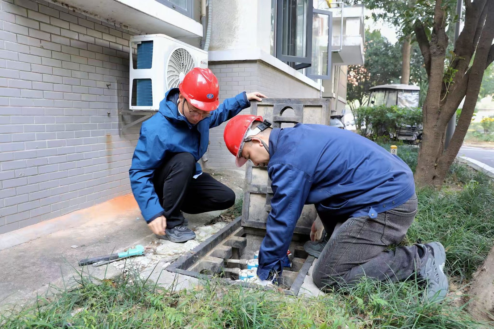 1771035081a563166.jpg 1771035081a563166.jpg